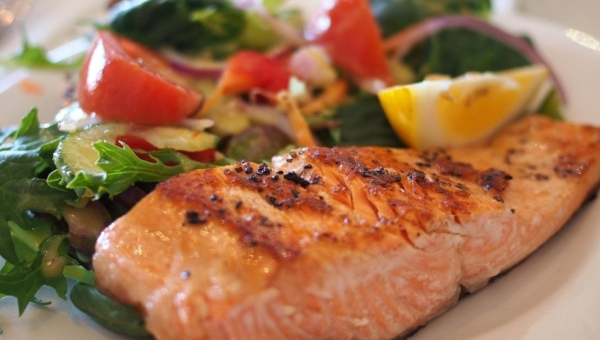 Alimentação de um kickboxer